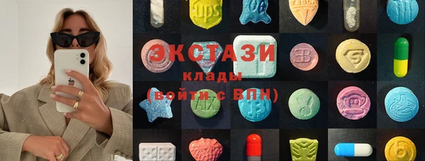 прущие грибы Бородино