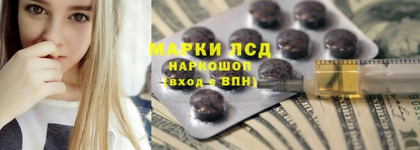 прущие грибы Бородино