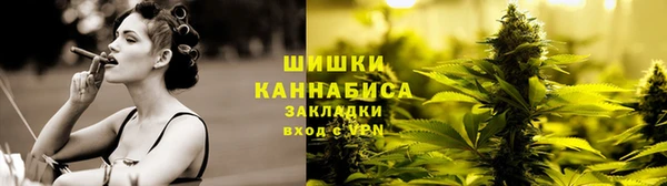 прущие грибы Бородино
