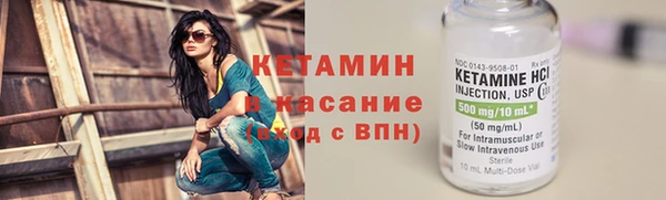 прущие грибы Бородино