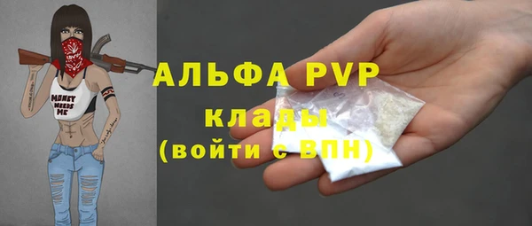 прущие грибы Бородино