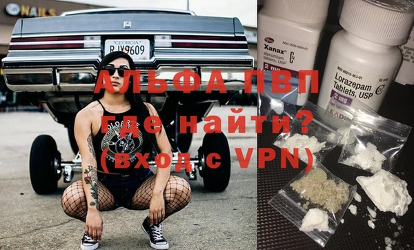 прущие грибы Бородино
