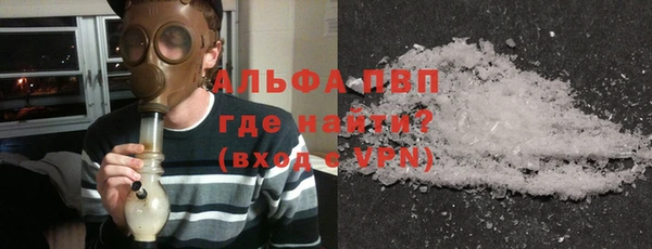 прущие грибы Бородино