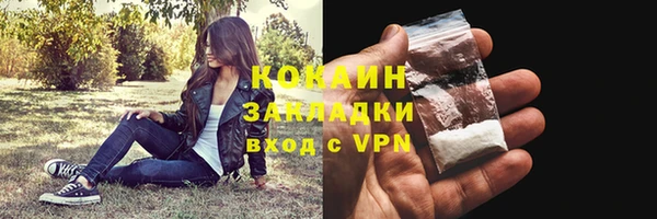 прущие грибы Бородино
