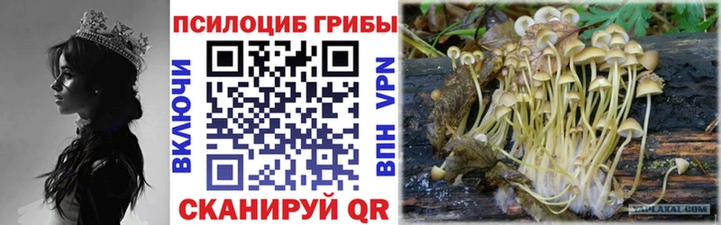 Галлюциногенные грибы мицелий  mega рабочий сайт  Симферополь 